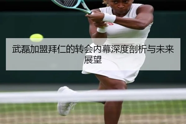 武磊加盟拜仁的转会内幕深度剖析与未来展望